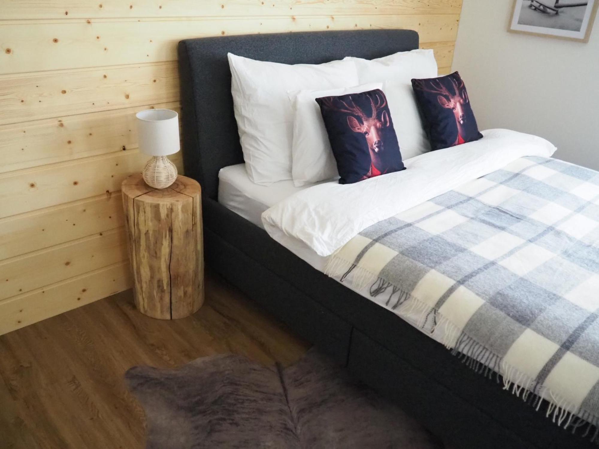My Deer Apartment Destne v Orlickych horach Εξωτερικό φωτογραφία