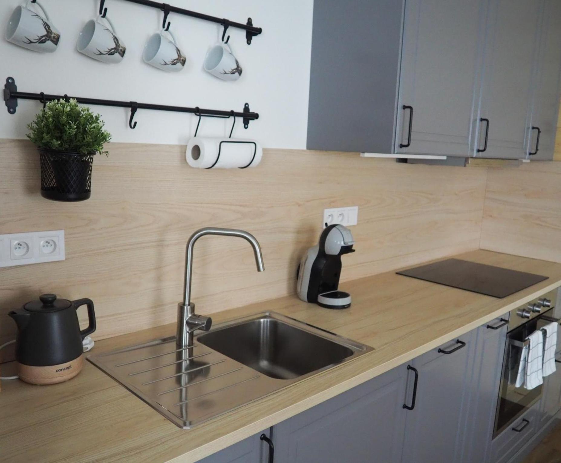 My Deer Apartment Destne v Orlickych horach Εξωτερικό φωτογραφία